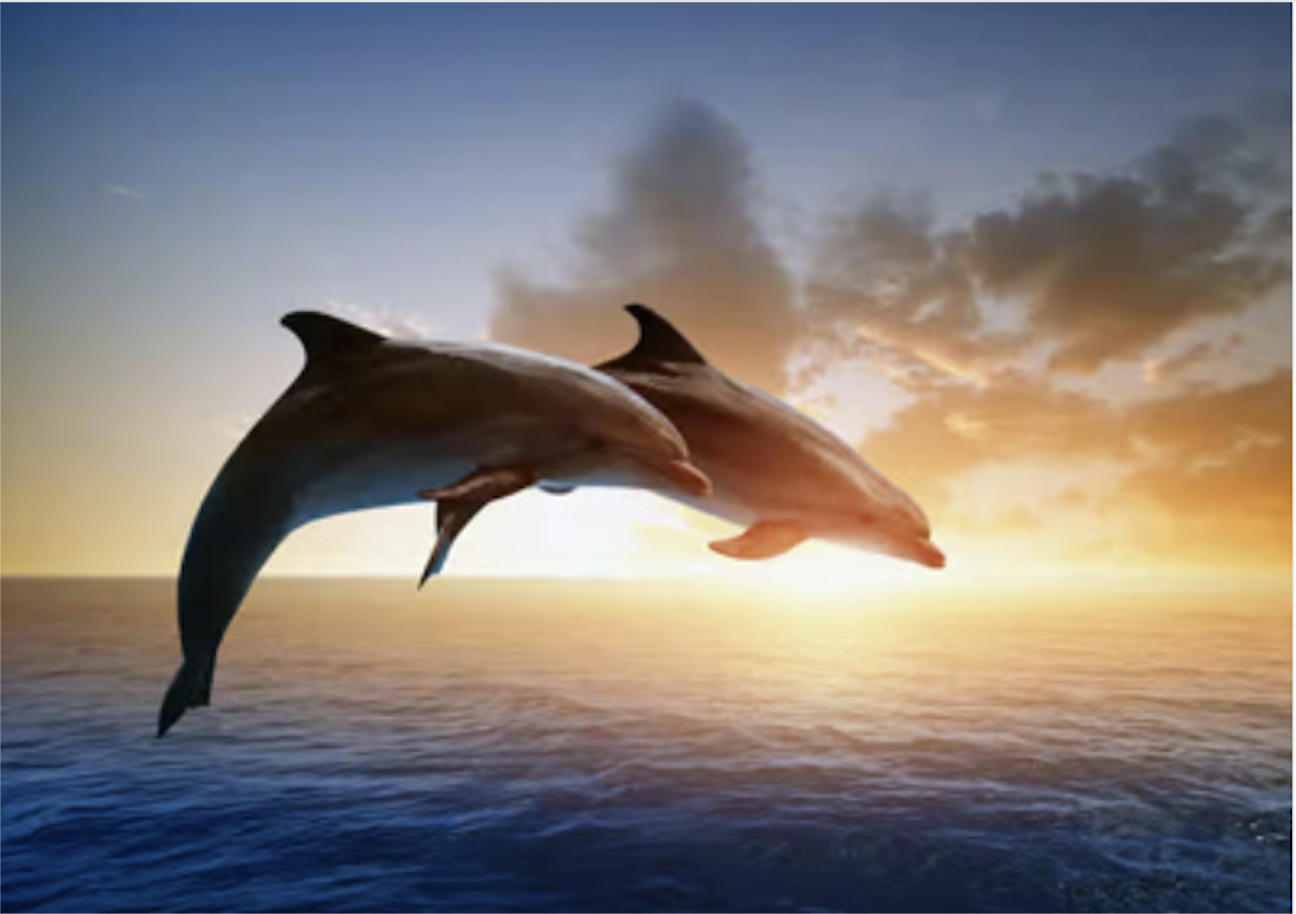  Aqua-Tantra chant des profondeurs, lenteur et suspension 