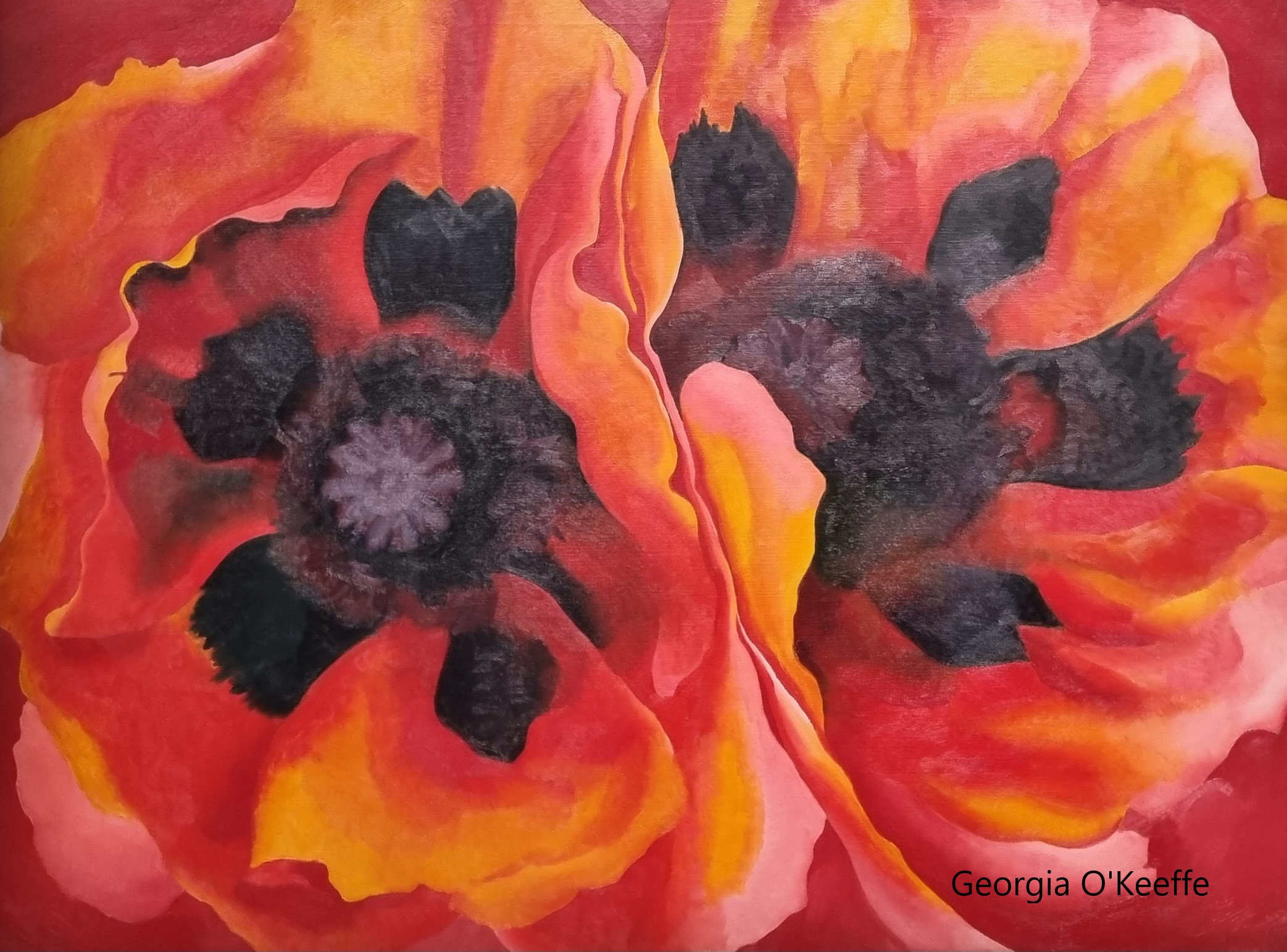 Coeur de fleurs de G O'Keeffe