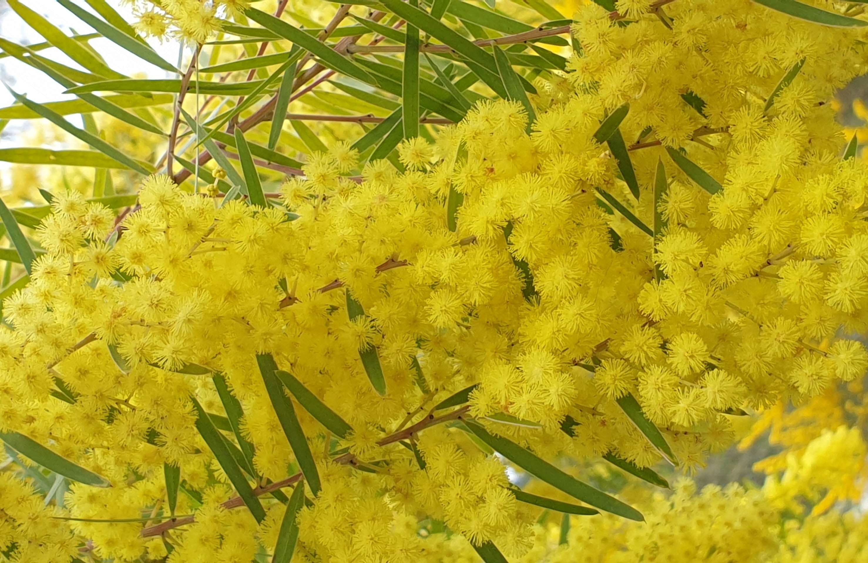 Douceur et Intensité