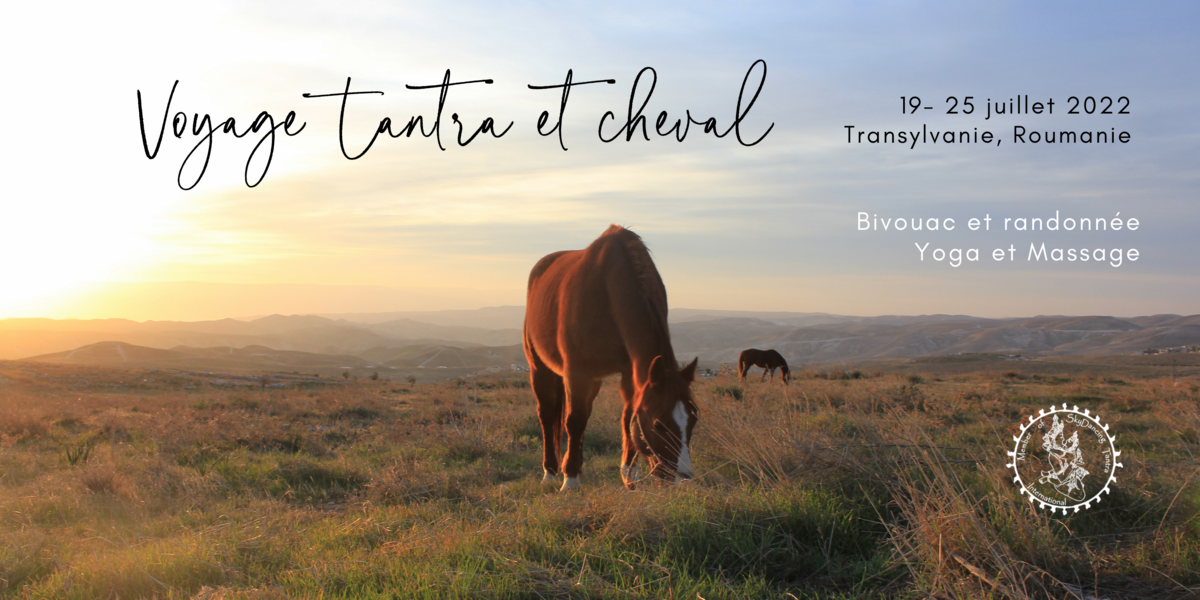 Voyage itinérant à cheval en Transylvanie