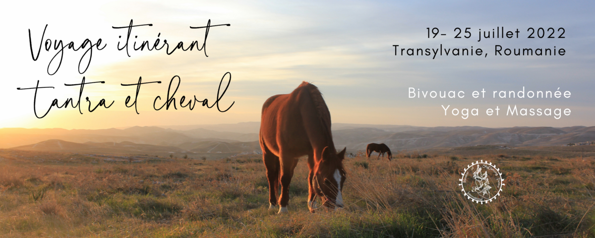 Voyage itinérant à cheval en Transylvanie