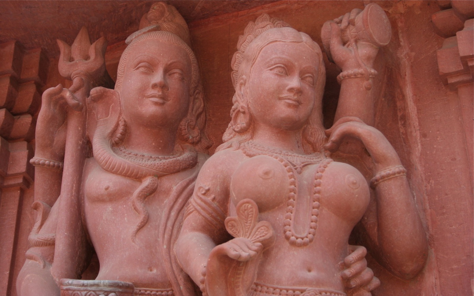 Révéler la sagesse du corps