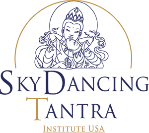 Logo SkyDancing USA